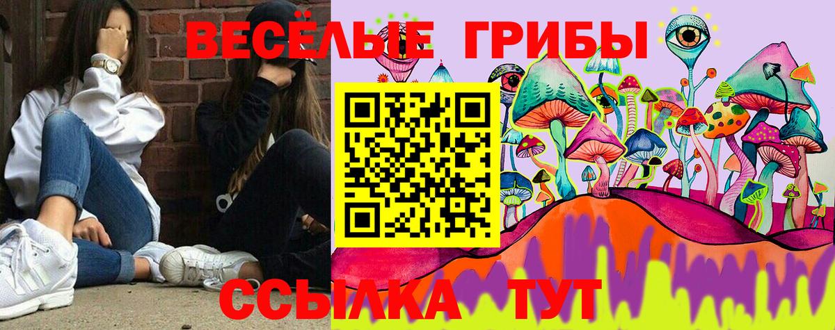 сколько стоит  Псилоцибиновые грибы Psilocybine cubensis  Вход с VPN  Галлюциногенные грибы Psilocybine cubensis  Ижевск 